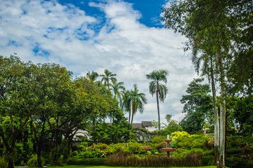 Green summer public park garden with blue sky in the cloudy day. Beautiful day light in public park with green grass field and fresh tree. Blue sky with white clouds and green grass field in city park