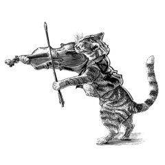 Fiddling Cat