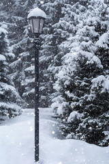 Lantern Under Snowfall.
