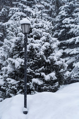 Lantern Under Snowfall.