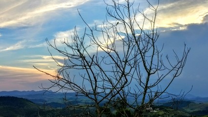 Fototapeta premium Lonely bird on the mountain