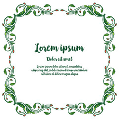 Vector illustration lettering lorem ipsum with frame flower white backdrop hand drawn
