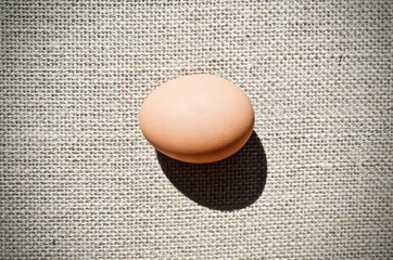 one egg on brown sack background