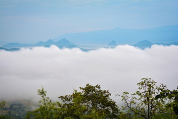 Morning scene with fog cover forest misty landscape view on hill mountain background