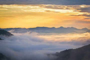 Morning scene sunrise landscape  beautiful on hill with fog misty cover forest and mountain