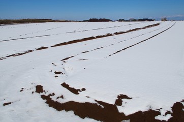 田舎の雪原