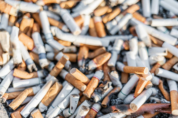 Cigarettes stub or many used tobacco butts with selective focus