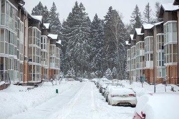 Fototapeta premium Ahead of the winter