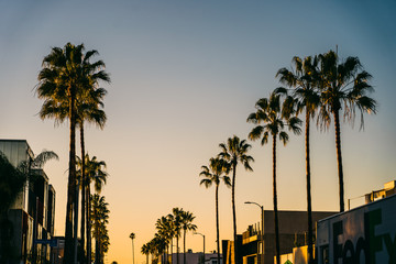 Sunset on Abbot Kinney