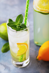 Tonic with lemon, lime and peppermint in a transparent glass on the table, close-up