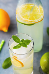 Tonic with lemon, lime and peppermint in a clear glass
