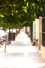 Typical street in Andalusia. Seville.Spain