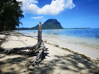Mauritius, Île aux Bénitiers
