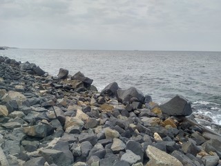 Coral Coastline, Jeddah, Saudi Arabia