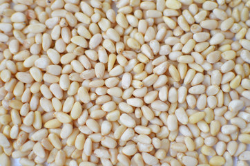 Roasted cedar nut background