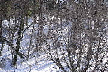 Snow