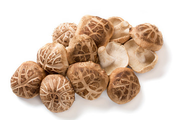 Obraz premium 日本の食用キノコ