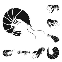 Vector design of meat and delicacy icon. Set of meat and crab stock symbol for web.