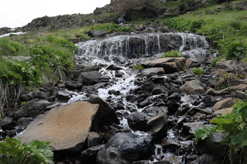 waterfall in forest
