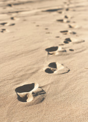 Fototapeta na wymiar steps in the sand