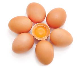 Chicken eggs and egg yolk.