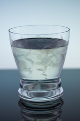 Fresh aloe vera  juice