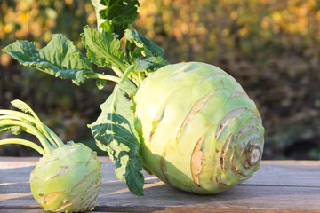 Kohlrabi on rustic wooden table