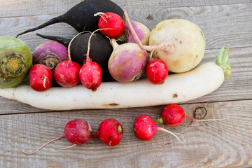 Set of different type of radish on rustic wooden table
