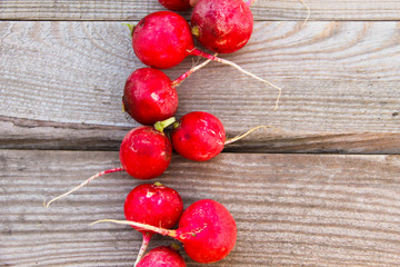 Red radish on rustic wooden table