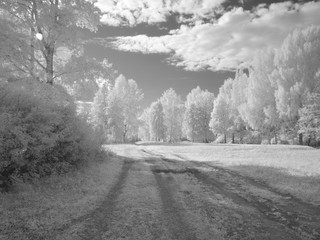 Infra red photography IR photo