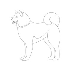 akita dog, vector illustration, lining draw ,