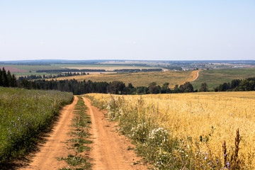 Obraz premium Beautiful rural summer landscape with sky and greenery