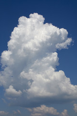 Beautiful rural summer landscape with sky and greenery