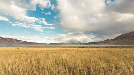 field and blue sky