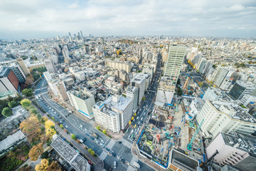Fototapeta na wymiar panoramic city skyline view in Tokyo, Japan