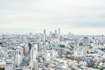 panoramic city skyline view in Tokyo, Japan