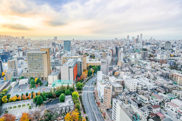 panoramic city skyline view in Tokyo, Japan