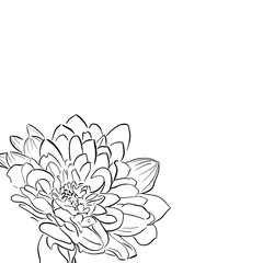 Black and white sketch of