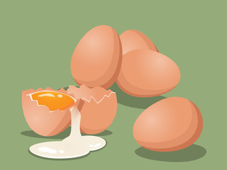A group of fresh chicken eggs with cracked eggs on green color background. Vector illustration.