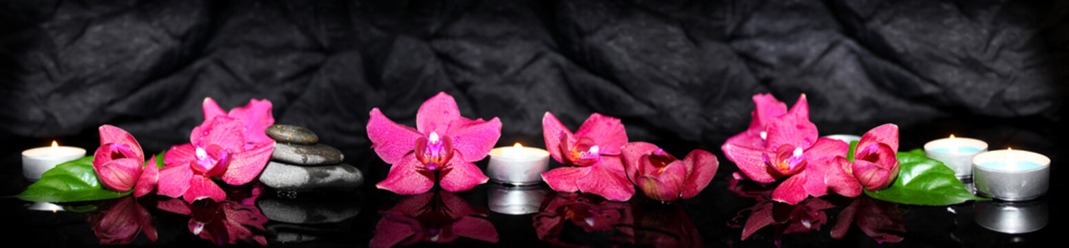 Panoramic image of purple orchids on a black background