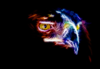 Fractal color portrait of a large wild eagle on a contrasting black background