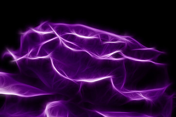 Obraz premium Fractal image of a summer terry rose on a contrasting black background