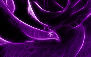Fractal image of a purple terry rose on a contrasting black background