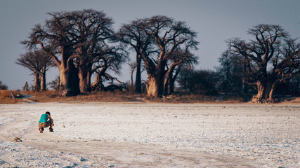 Touristin fotografiert Baines Baobabs in der Abendsonne, Nxai Pans National Park, Botswana