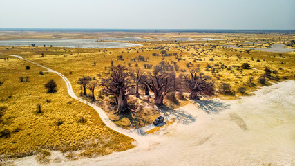 Luftaufnahme - Baines Baobabs in der Abendsonne, Nxai Pans National Park, Botswana