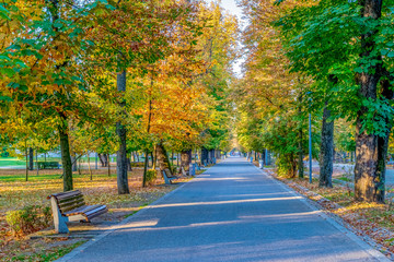 Cluj-Napoca Central Park on a beautiful autumn sunny day in Romania