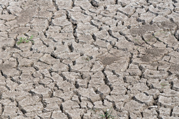 cracked earth texture