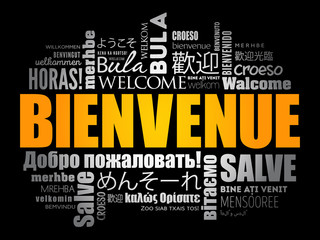 Bienvenue (Welcome in French) word cloud in different languages