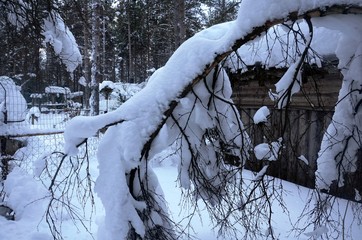 Village lapon en pleine campagne aux alentours de Levi (Nord de la Finlande)
