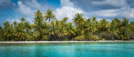 Panoramic view of beautiful tropical palm tree island.